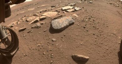 NASA plans to scrape a Mars rock before its next drilling attempt