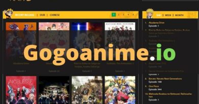 Some Things You Need to Know about GoGoAnime